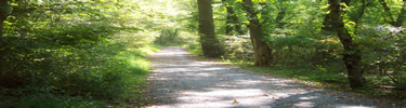 OVNHT in Sycamore Shoals State Historic Area - TN